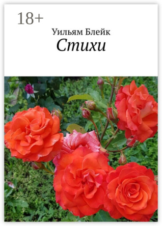 Обложка книги «Стихи»