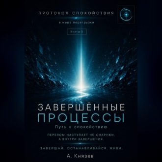 Обложка книги «Протокол спокойствия в мире перегрузки»