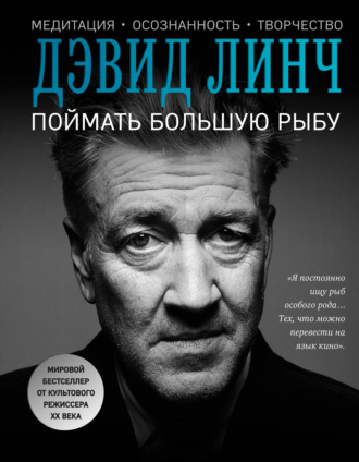 Обложка книги «Поймать большую рыбу. Медитация, осознанность, творчество»