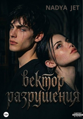 Обложка книги «Вектор разрушения»