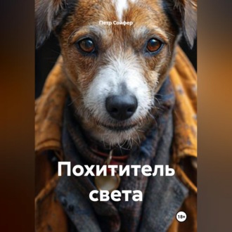 Обложка книги «Похититель света»