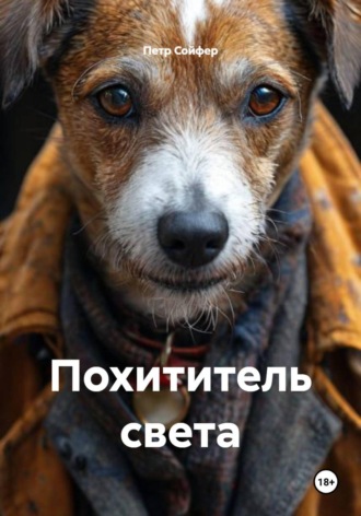 Обложка книги «Похититель света»