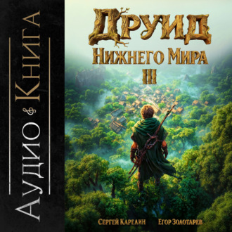 Обложка книги «Друид Нижнего мира. Том 3»