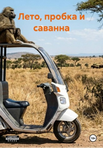 Обложка книги «Лето, пробка и саванна»