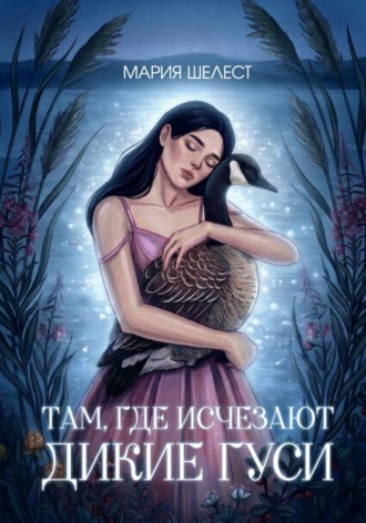 Обложка книги «Там, где исчезают дикие гуси»
