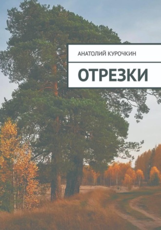 Обложка книги «Отрезки»