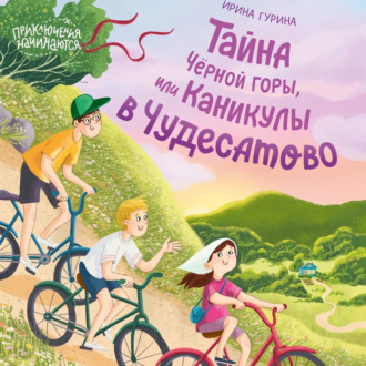 Обложка книги «Тайна Черной горы, или Каникулы в Чудесатово»