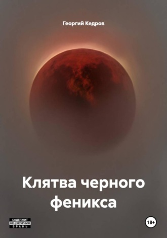 Обложка книги «Клятва черного феникса»