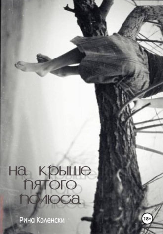 Обложка книги «На крыше пятого полюса»