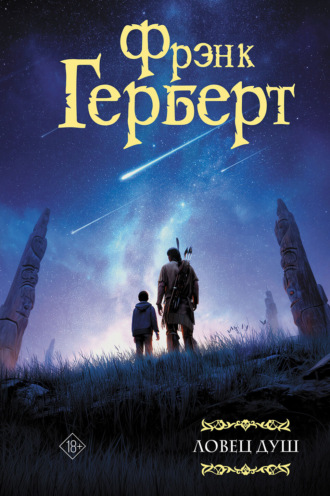 Обложка книги «Ловец душ»