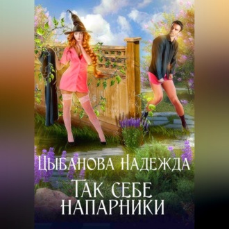 Обложка книги «Так себе напарники»