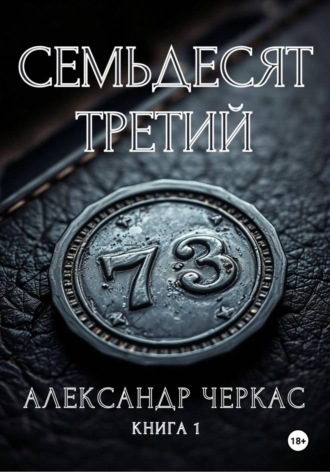 Обложка книги «Семьдесят третий»