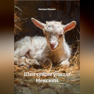 Обложка книги «Шепчущие улицы Мексики»