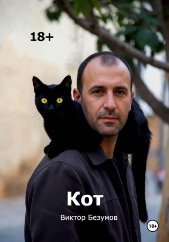 Обложка книги «Кот»