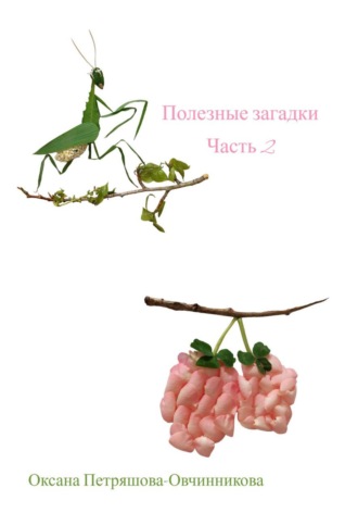 Обложка книги «Полезные загадки. Часть 2»