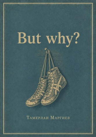 Обложка книги «But why?»