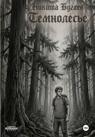 Обложка книги «темнолесье»