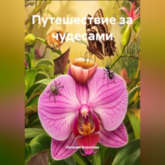 Обложка книги «Путешествие за чудесами»