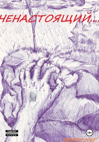 Обложка книги «Ненастоящий....»