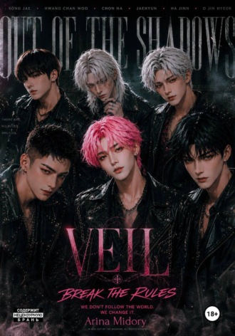 Обложка книги «VEIL»