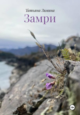 Обложка книги «Замри»