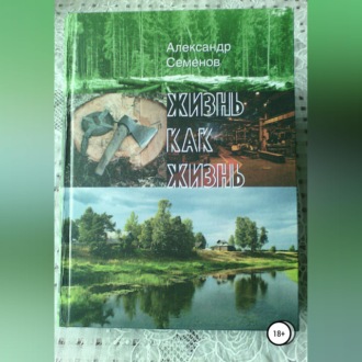 Обложка книги «Жизнь как жизнь»