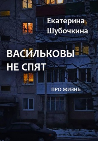 Обложка книги «Васильковы не спят»