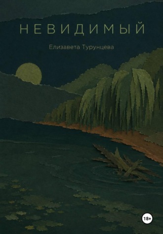 Обложка книги «Невидимый»