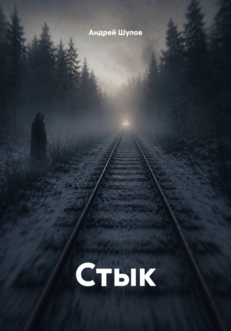 Обложка книги «Стык»