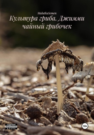 Обложка книги «Культура гриба. Джимми чайный грибочек»