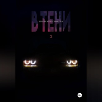 Обложка книги «В Тени 2»