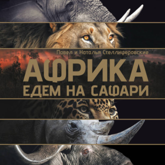 Обложка книги «Африка. Едем на сафари»