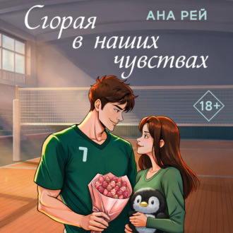 Обложка книги «Сгорая в наших чувствах»