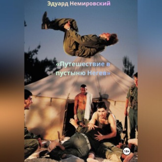 Обложка книги «Путешествие в пустыню Негев»