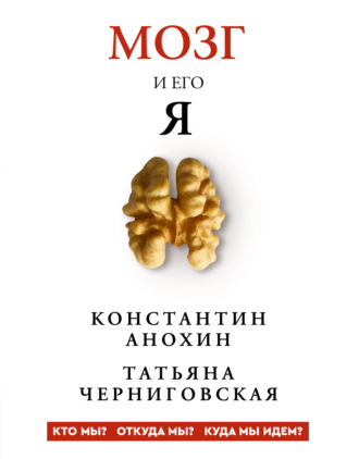 Обложка книги «Мозг и его «Я». Кто мы? Откуда мы? Куда мы идем?»