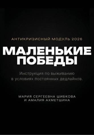 Обложка книги «Маленькие победы»