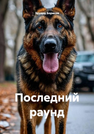 Обложка книги «Последний раунд»