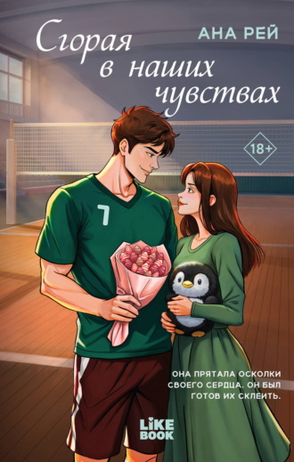 Обложка книги «Сгорая в наших чувствах»