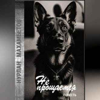 Обложка книги «Не прощаемся»