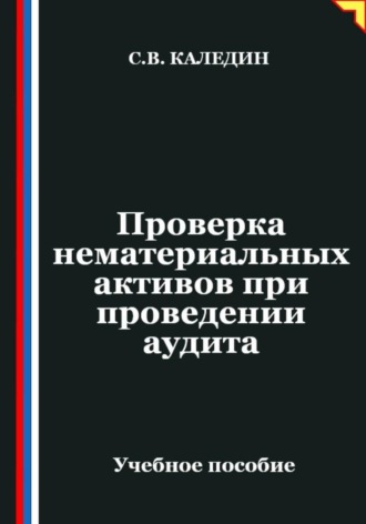 Обложка книги «Проверка нематериальных активов при проведении аудита»