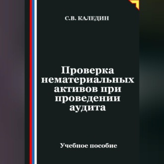 Обложка книги «Проверка нематериальных активов при проведении аудита»