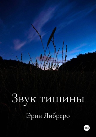 Обложка книги «Звук тишины»