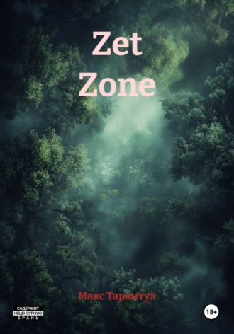 Обложка книги «Zet Zone»