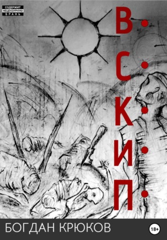 Обложка книги «Вскип»