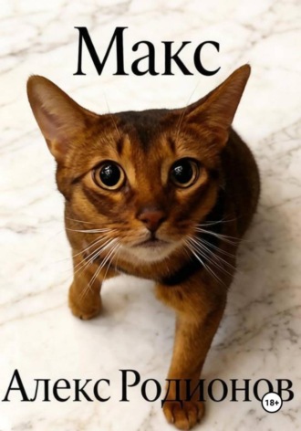 Обложка книги «Макс»