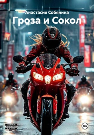 Обложка книги «Гроза и Сокол»