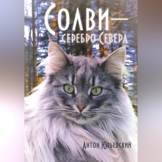 Обложка книги «Солви - серебро Севера»