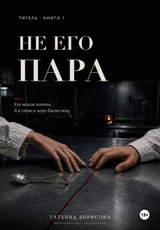 Обложка книги «Не его пара»