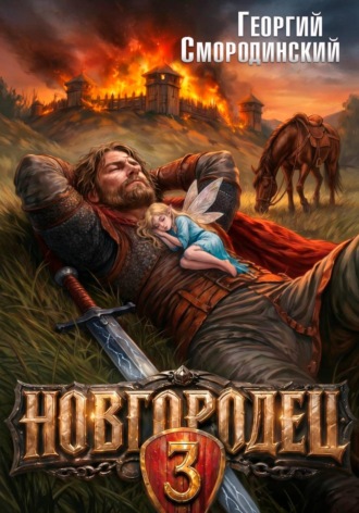 Обложка книги «Новгородец-3»