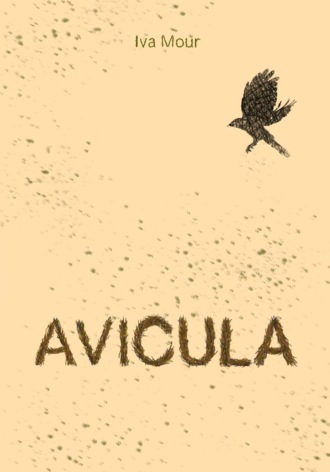 Обложка книги «Avicula»